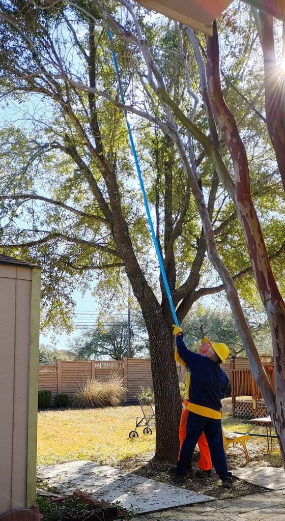 Dr on sale pole saw