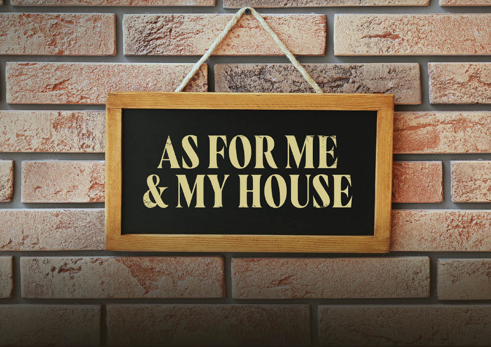 me_and_my_house